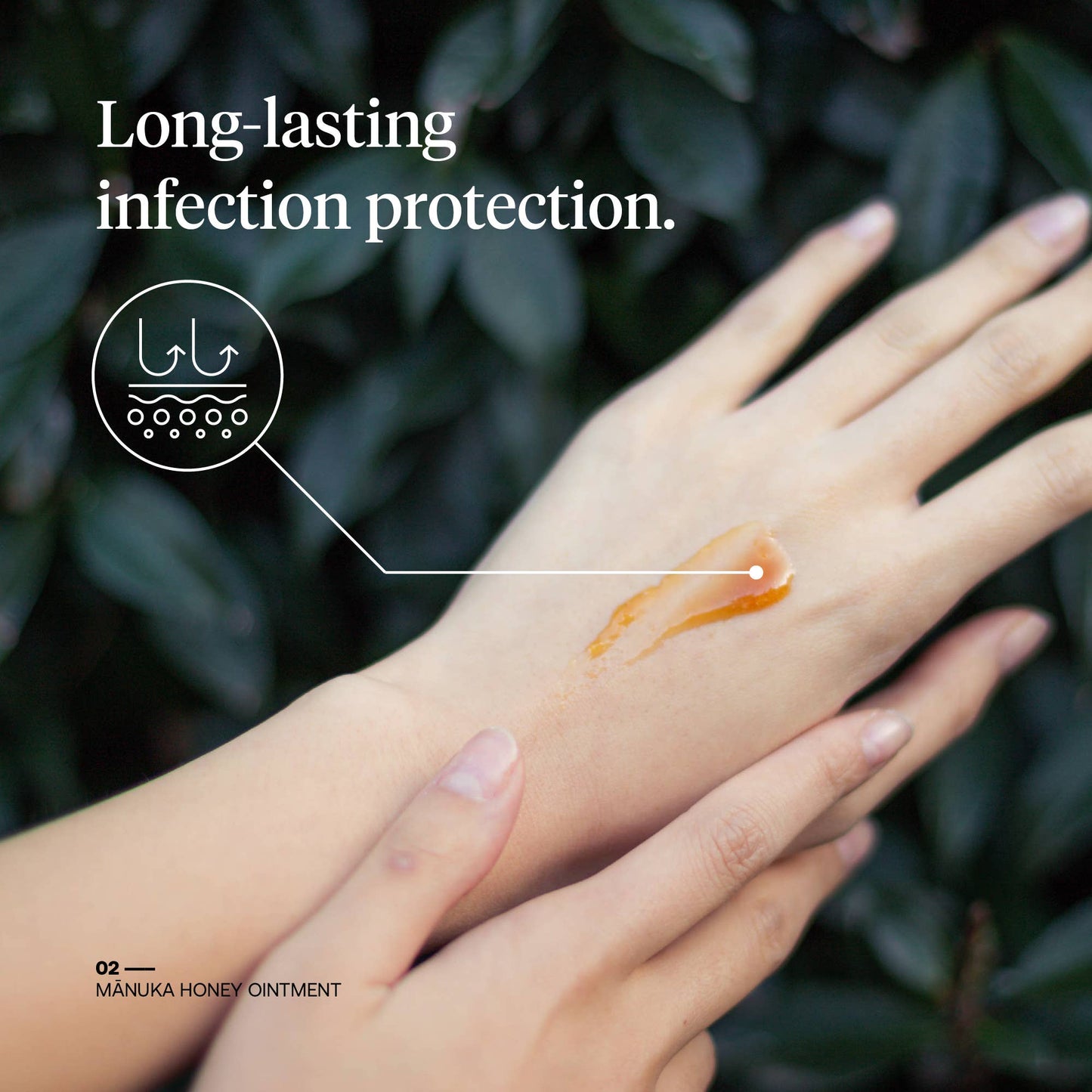 First Honey® Manuka Wound Ointment