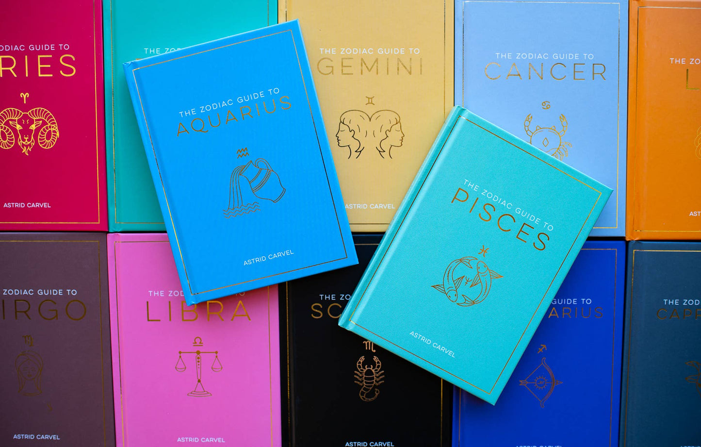 The Zodiac Guide to Aquarius