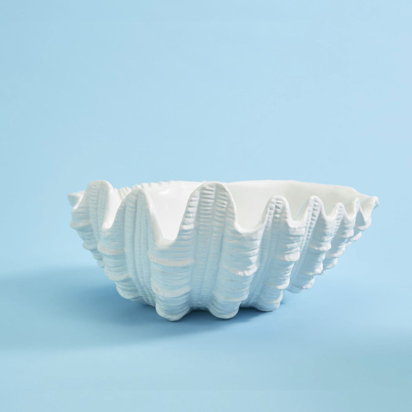 Large Clam Shell