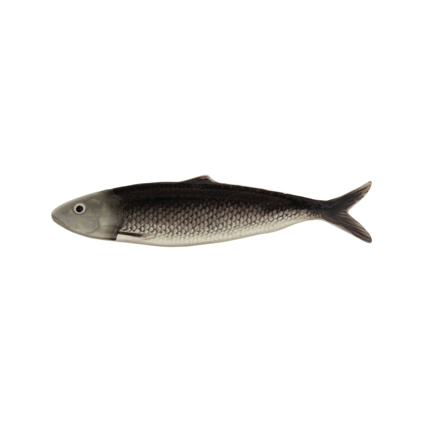 Hand Painted Sardine Plate, Dark