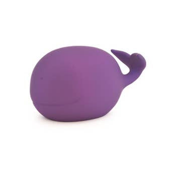 Whale Bank in Assorted Colors