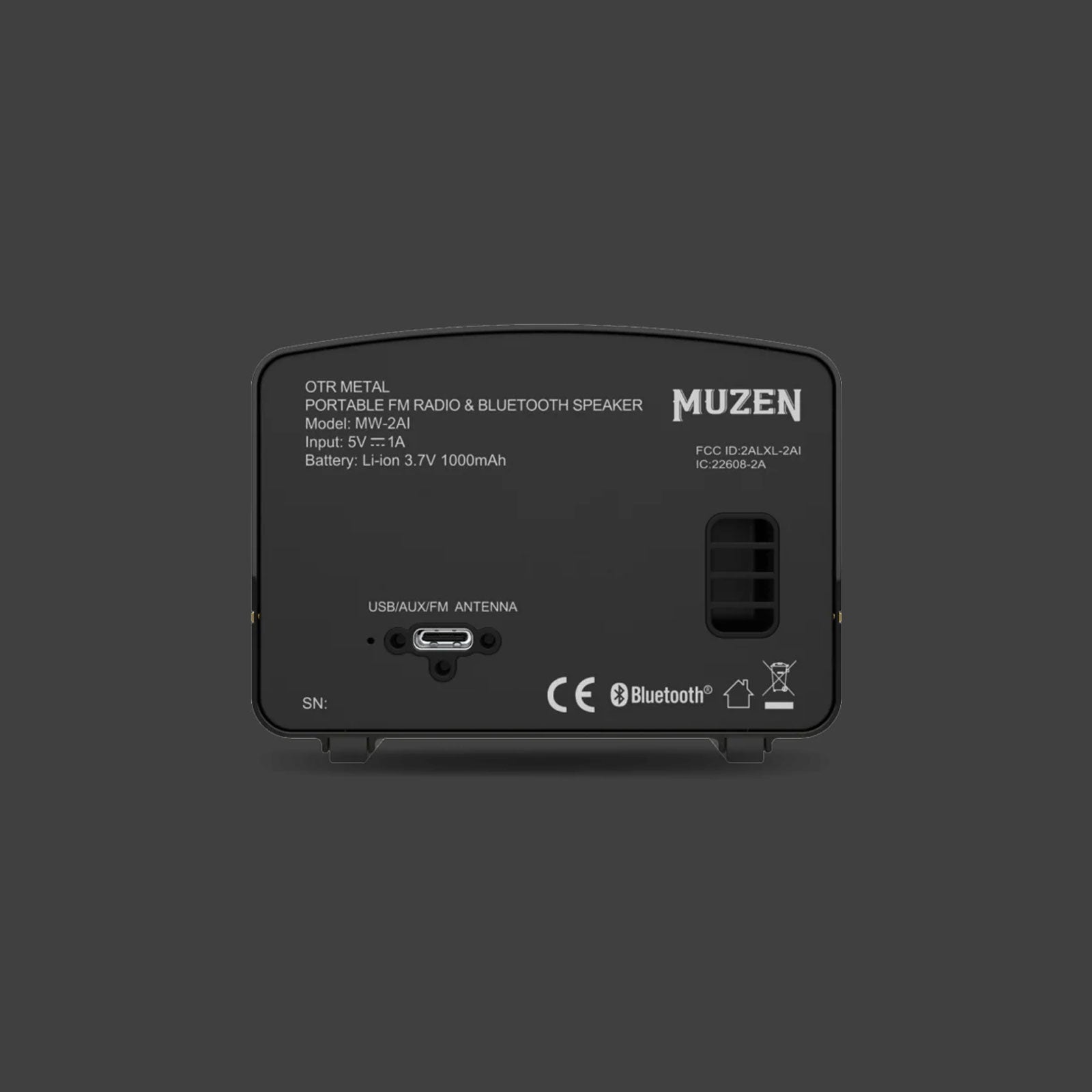 Wireless FM Radio with Bluetooth Speaker in Black