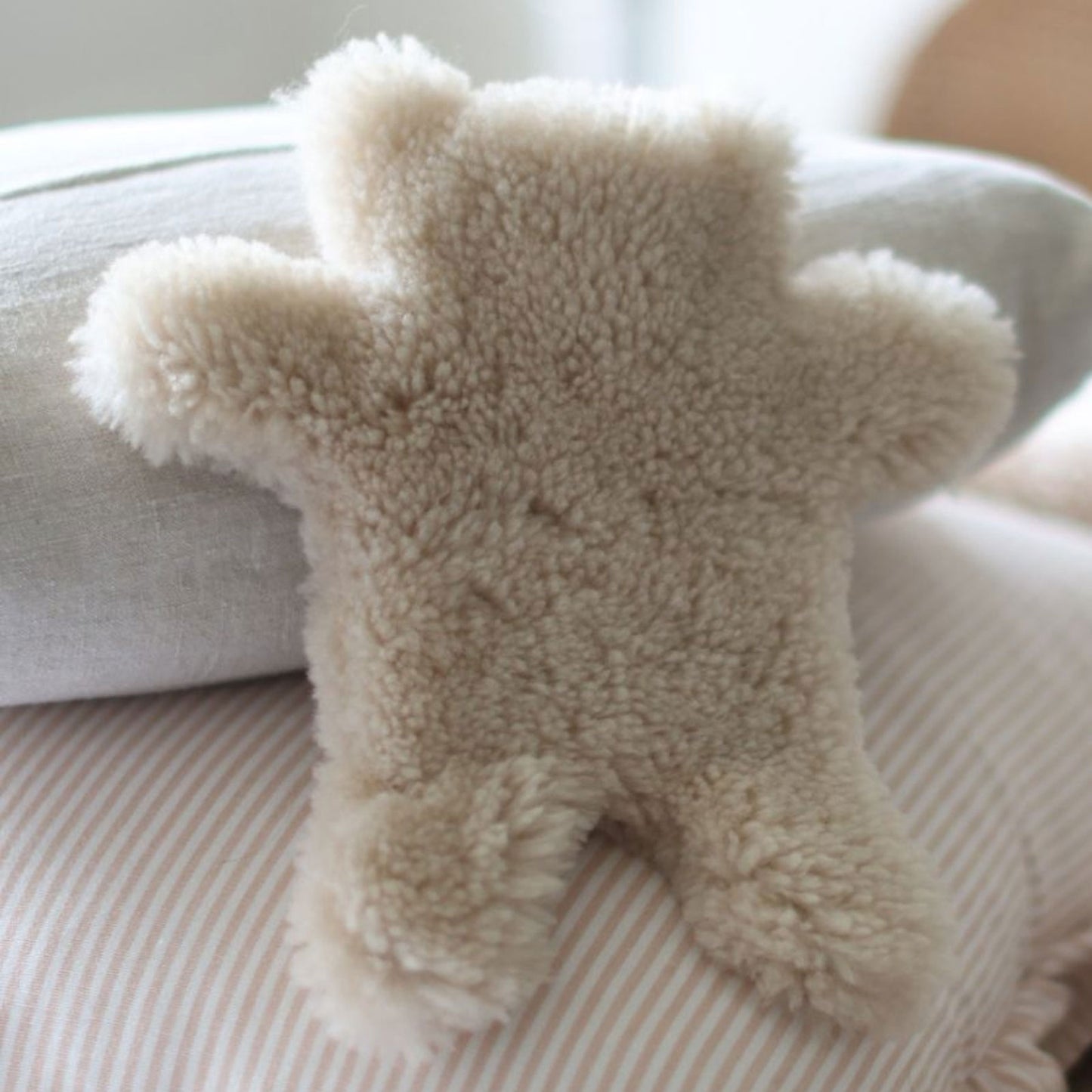 Flat Teddy Hot Water Bottle Cover, 0.2L