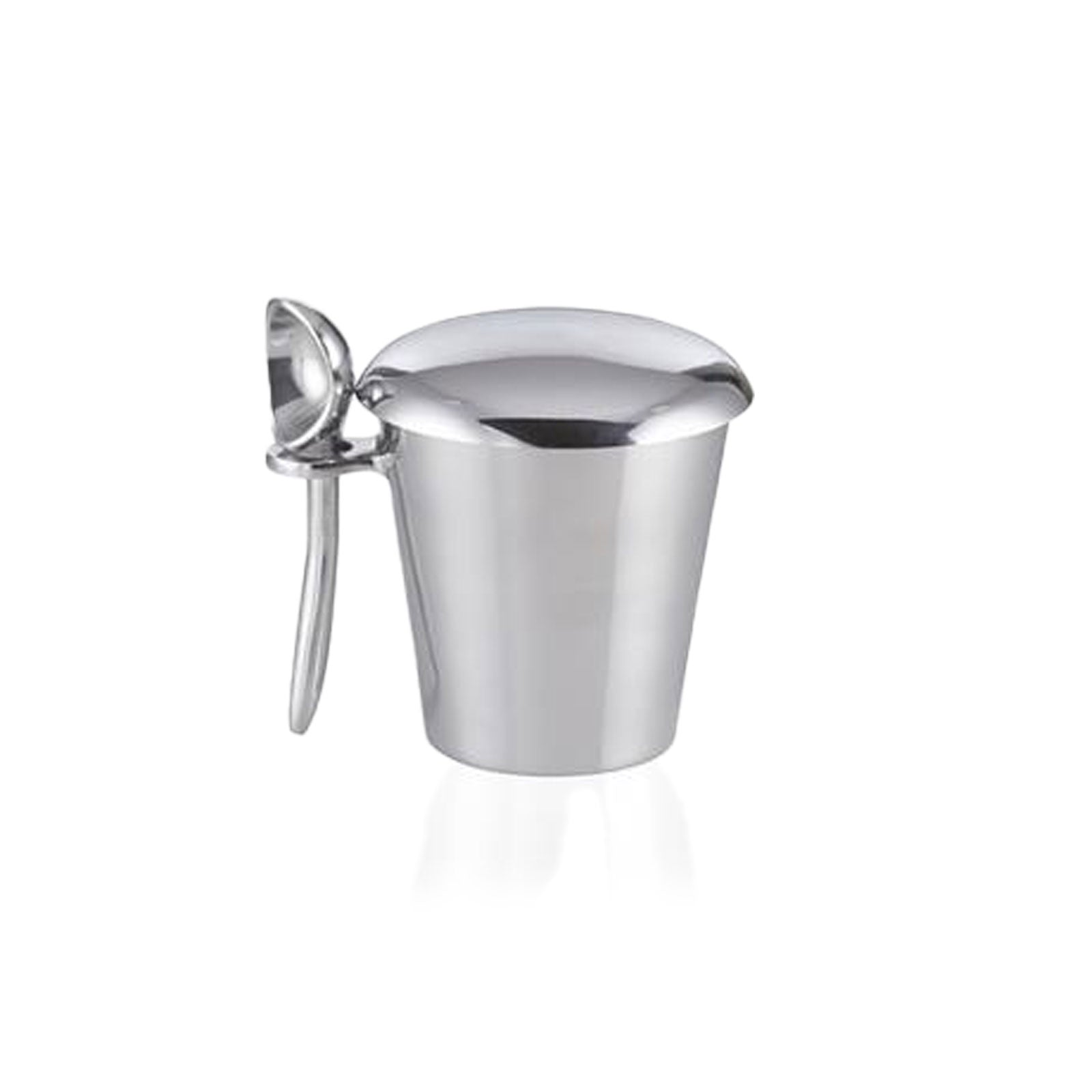 Pint Ice Cream Server Set in Silver