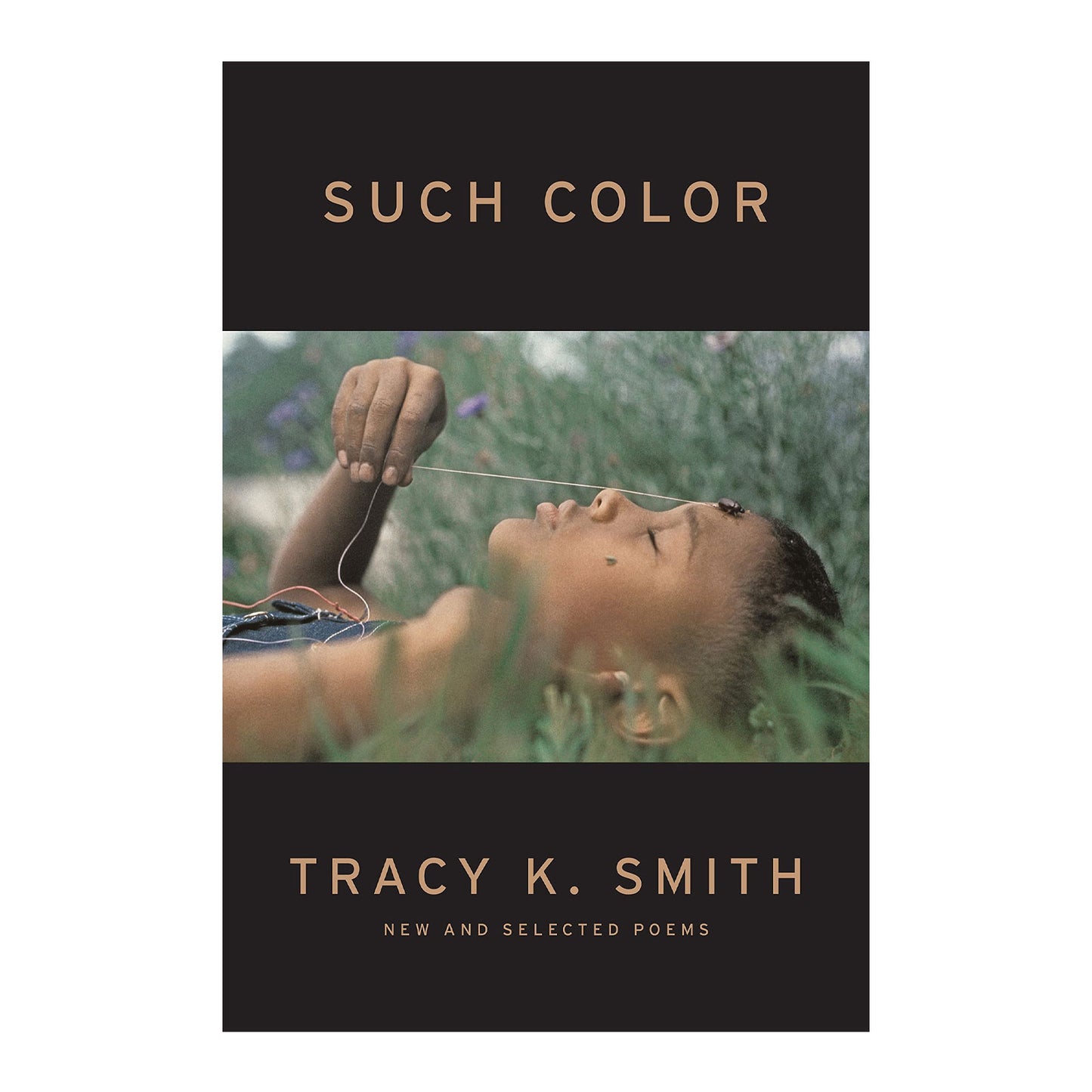Such Color: New and Selected Poems
