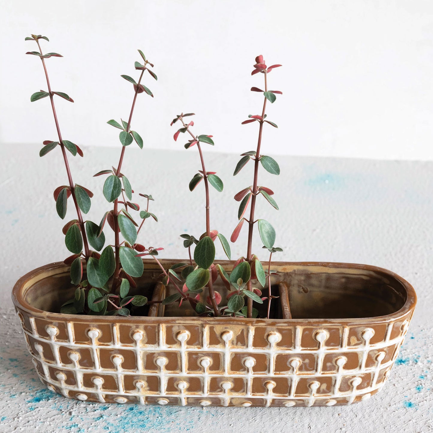 Embossed Stoneware Window Planter with Reactive Glaze