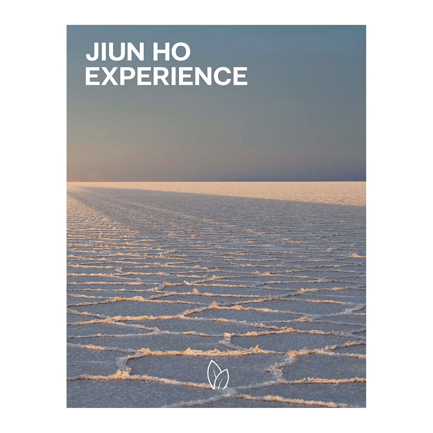 Jiun Ho: Experience