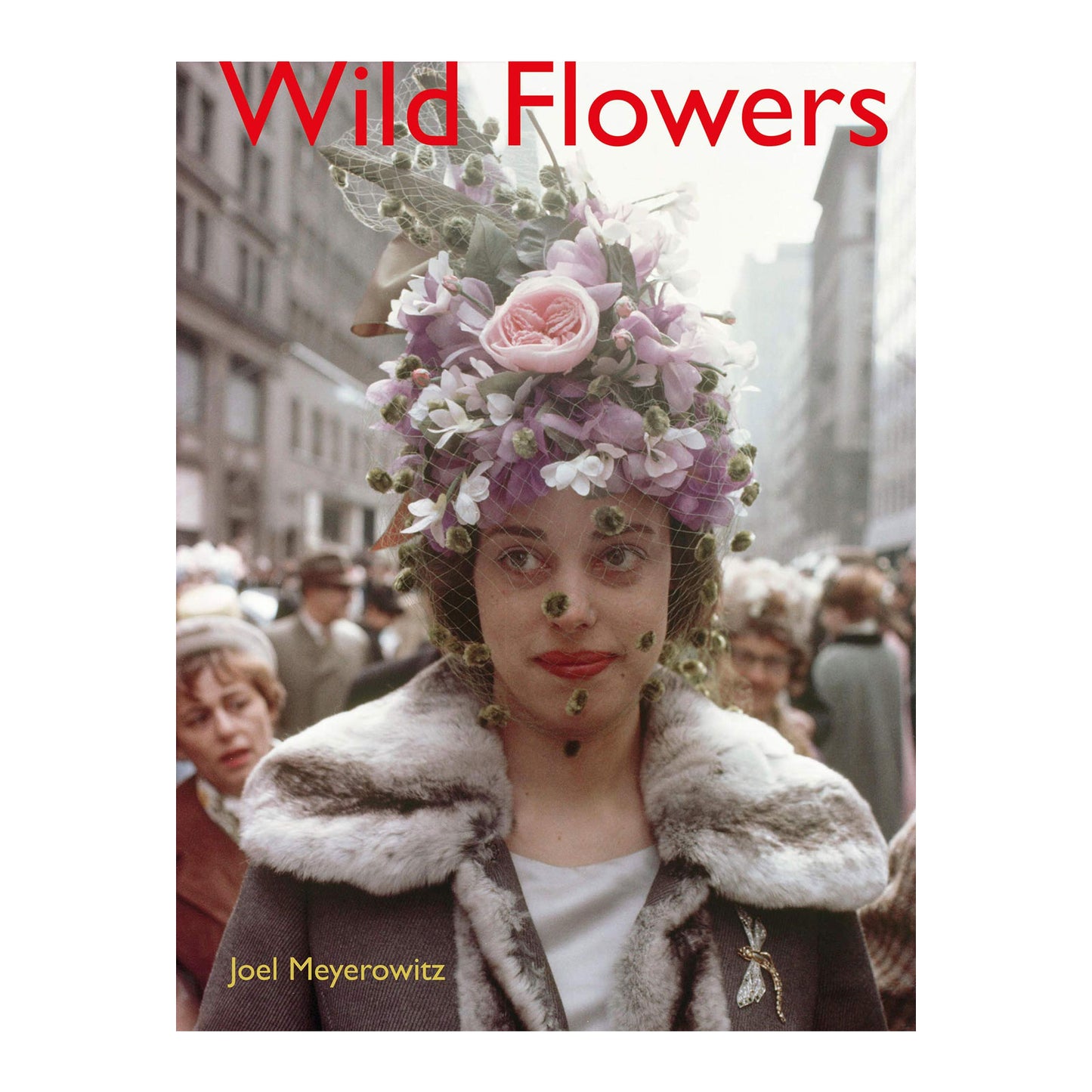 Joel Meyerowitz: Wild Flowers