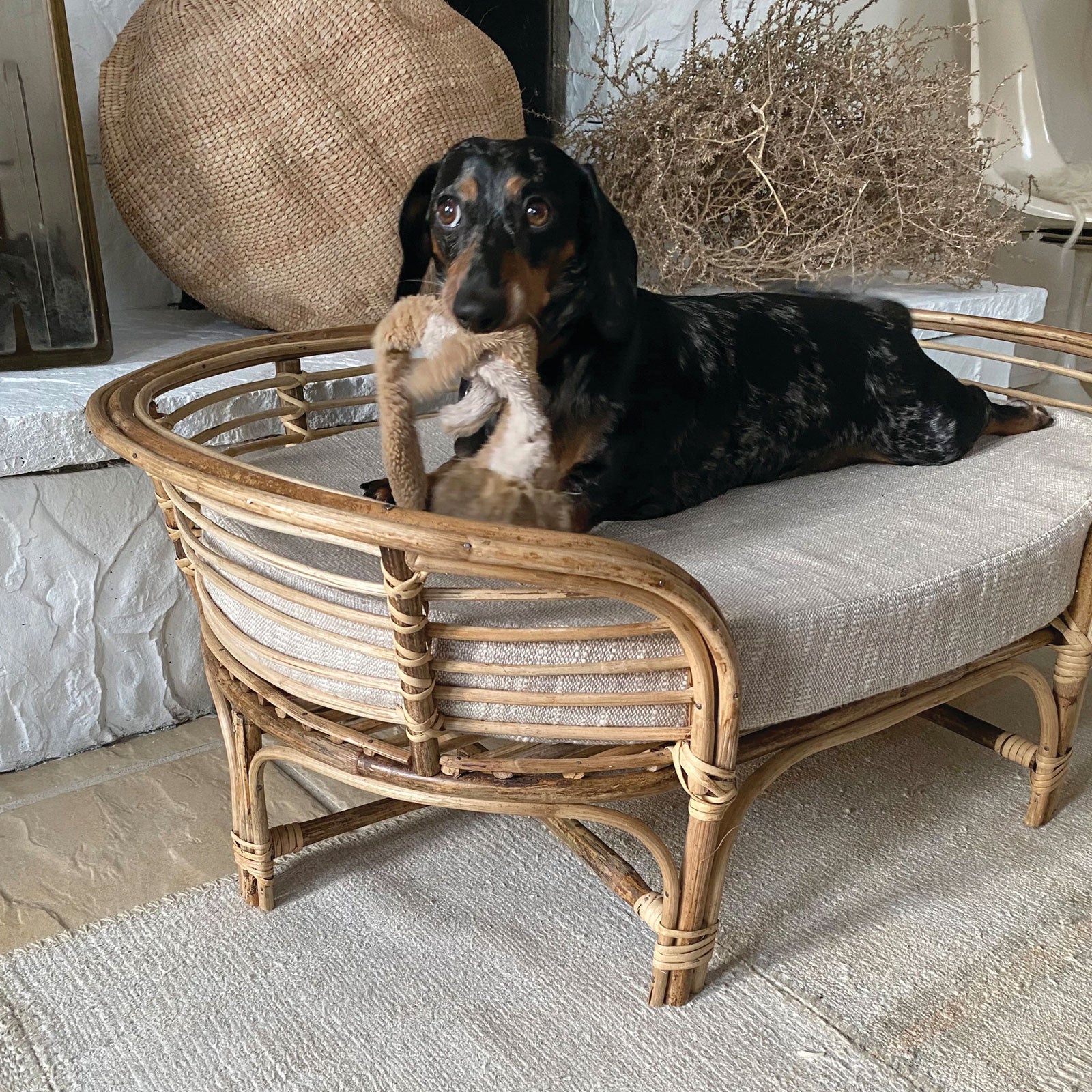 Large rattan dog bed best sale