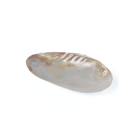 Footed Seashell Tray/Caviar Dish