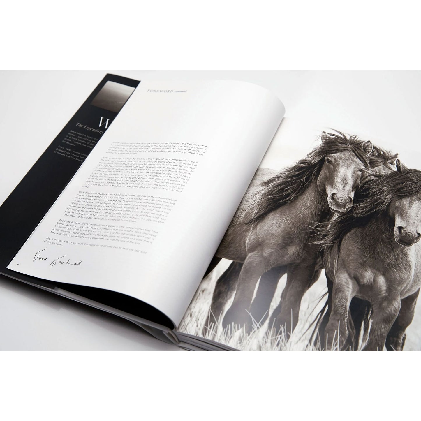 WILD: The Legendary Horses of Sable Island, Signed