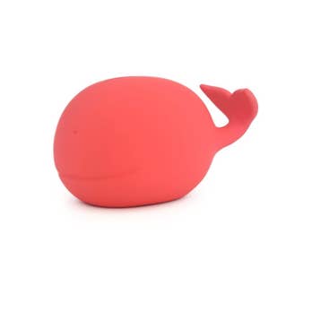 Whale Bank in Assorted Colors